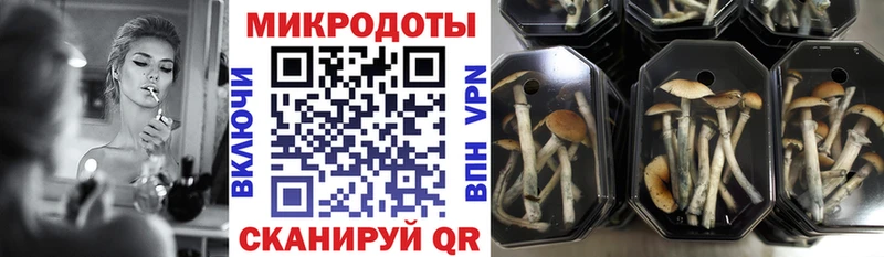 как найти наркотики  Светогорск  Галлюциногенные грибы мухоморы 